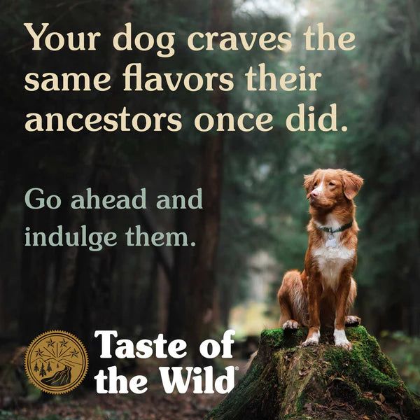 Taste of the Wild Southwest Canyon Canine with Beef in Gravy Wet Dog Food 390G