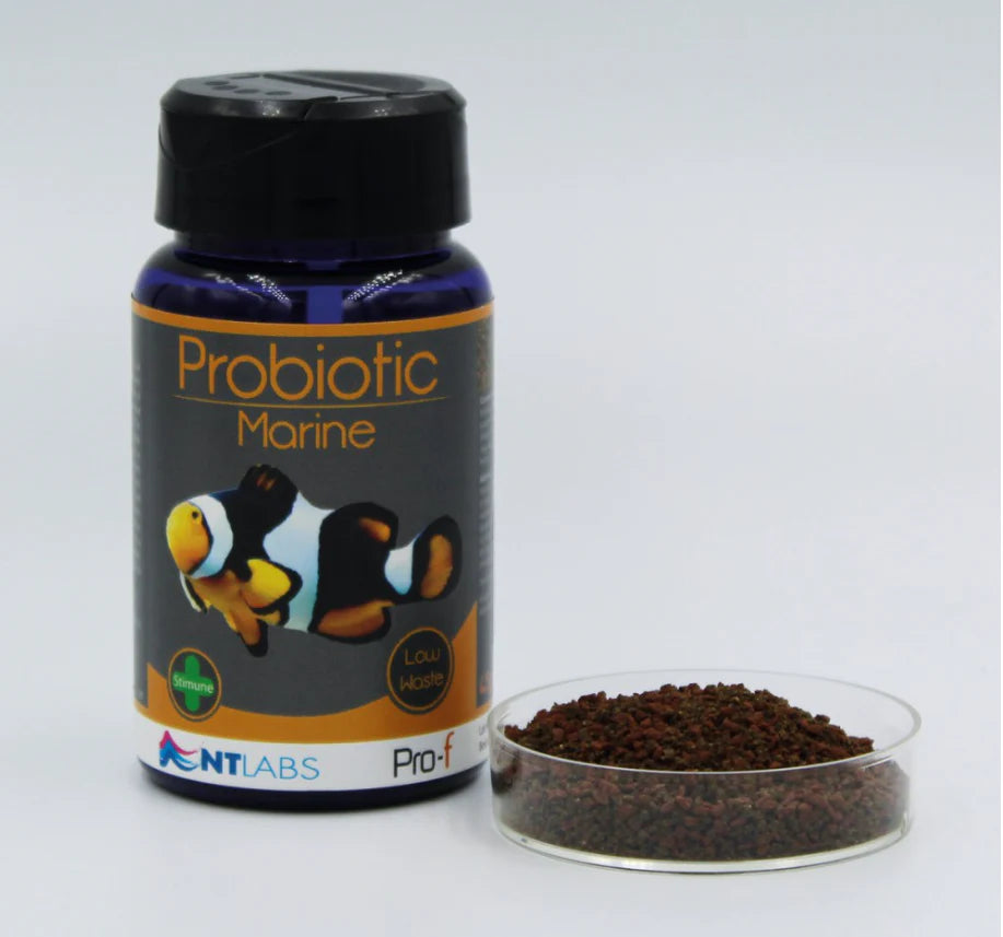 NT Labs Pro-f Probiotic Marine Fish Food
