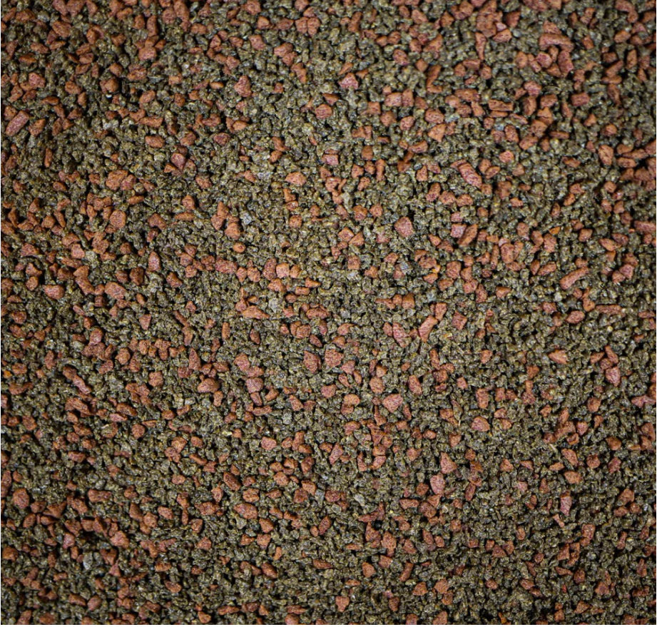 NT Labs Pro-f Probiotic Marine Fish Food