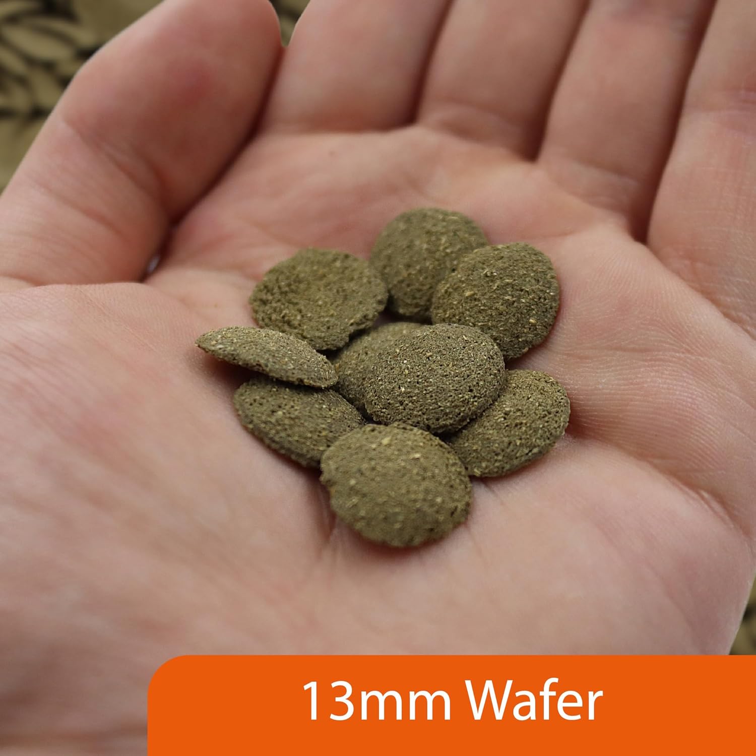 NT Labs Algae Wafers Fish Food