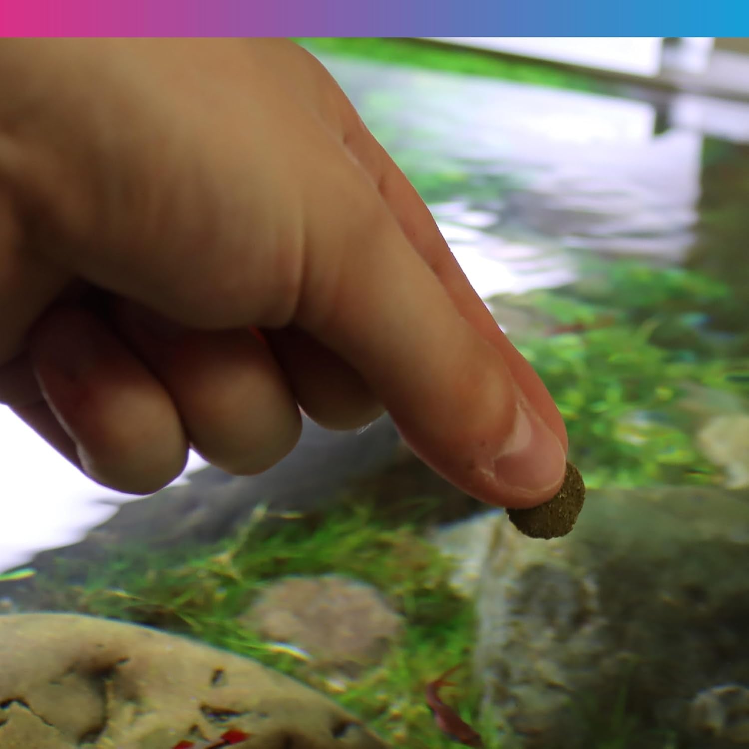 NT Labs Algae Wafers Fish Food