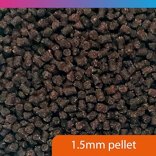 NT Labs Pro-f Fancy Goldfish Food