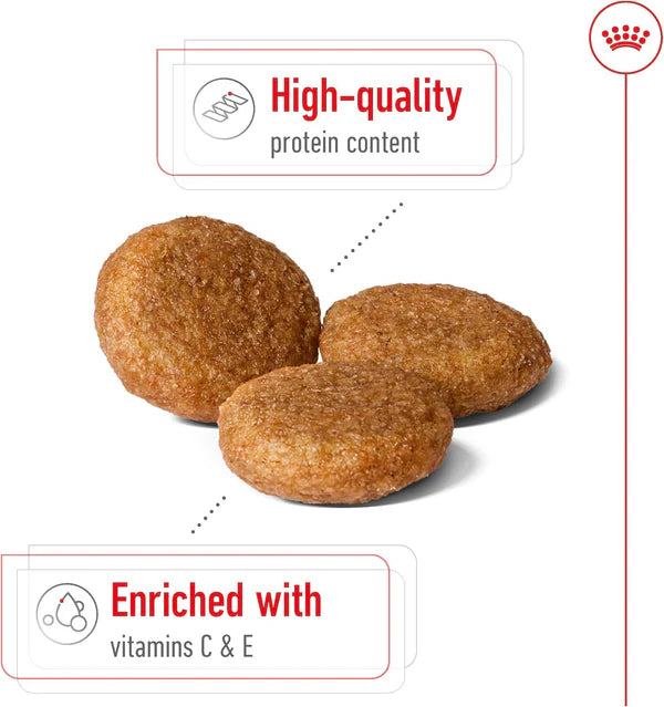 Royal Canin Medium Adult Dry Dog Food