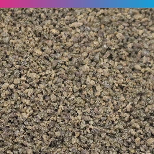 NT Labs Pro-f Probiotic Tropical Fish Food