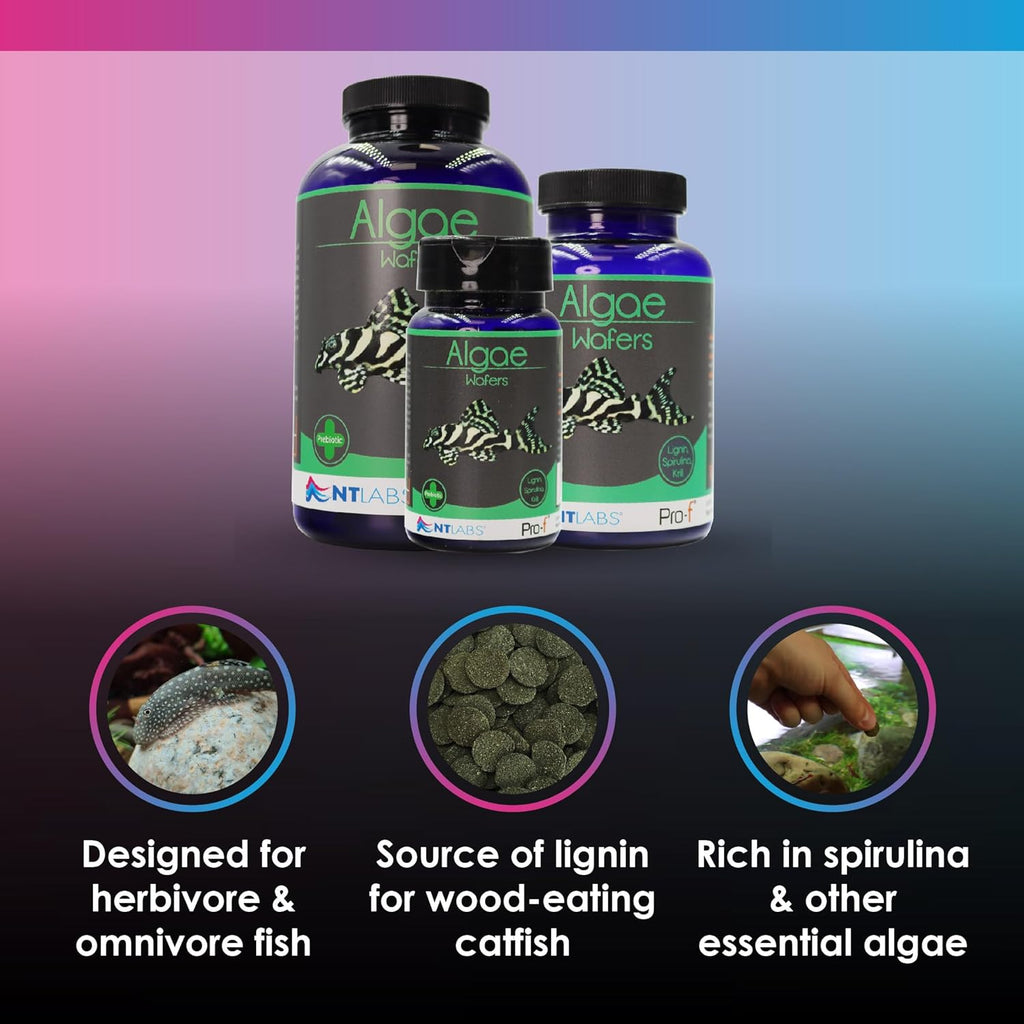 NT Labs Algae Wafers Fish Food