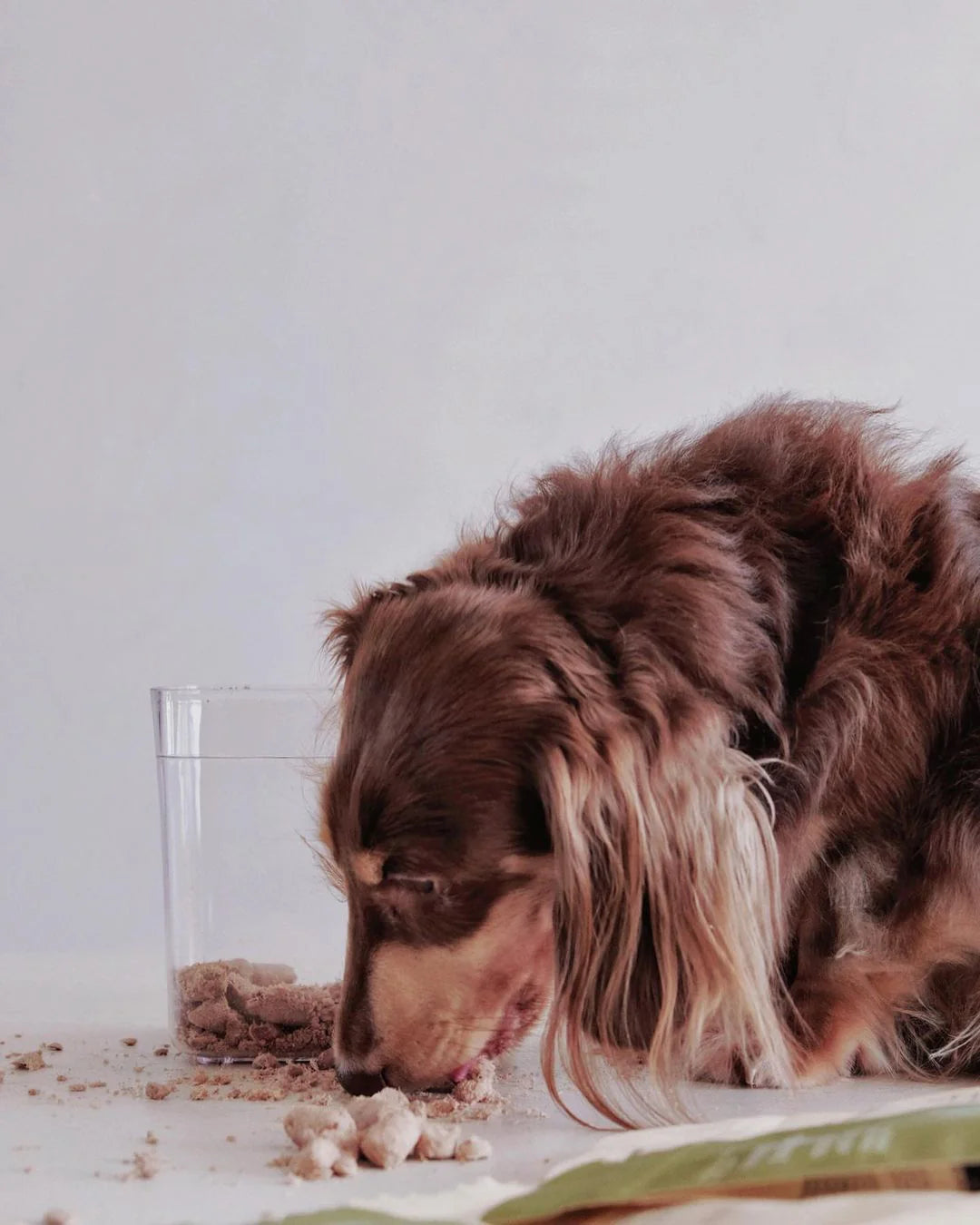 Boneve Freeze-Dried Raw Beef & Hoki Dry Dog Food