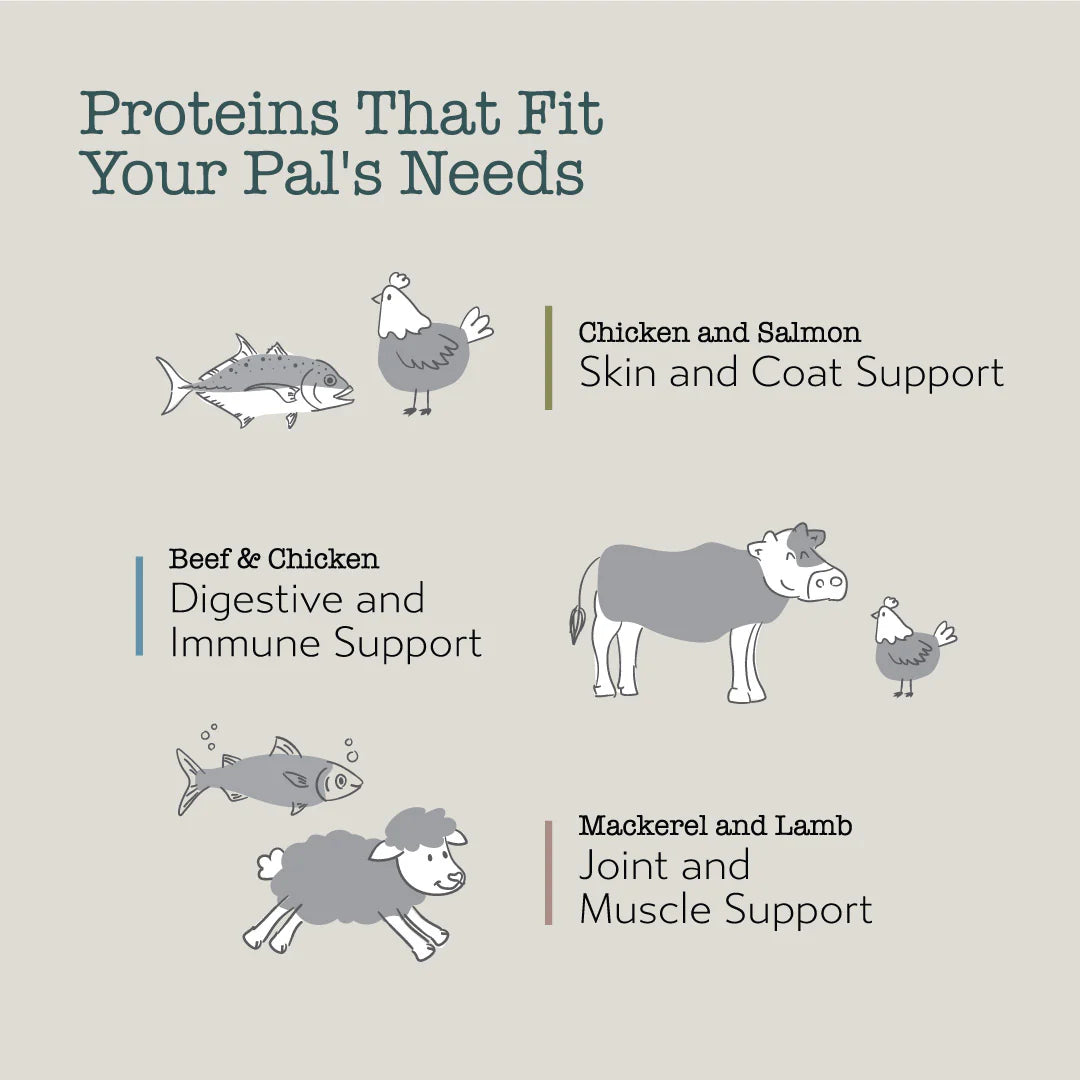 Boneve Freeze-Dried Raw Prey Mackerel & Lamb Dry Cat Food