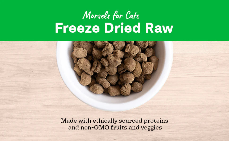 Open Farm Freeze Dried Raw Harvest Chicken Morsels Dry Cat Food 99G