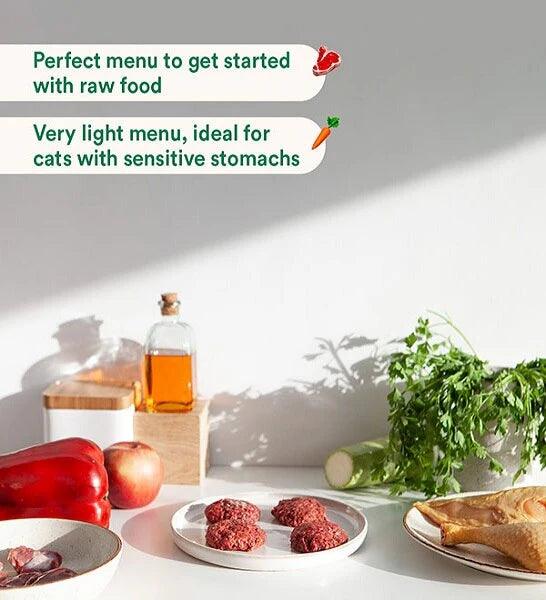 Wild Balance Complete BARF Menu Chicken Raw Food for Cats 1KG