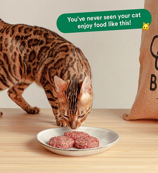 Wild Balance Complete BARF Menu Chicken Raw Food for Cats 1KG