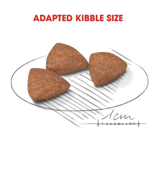 Royal Canin Mini Indoor Life Adult Dry Dog Food 1.5KG