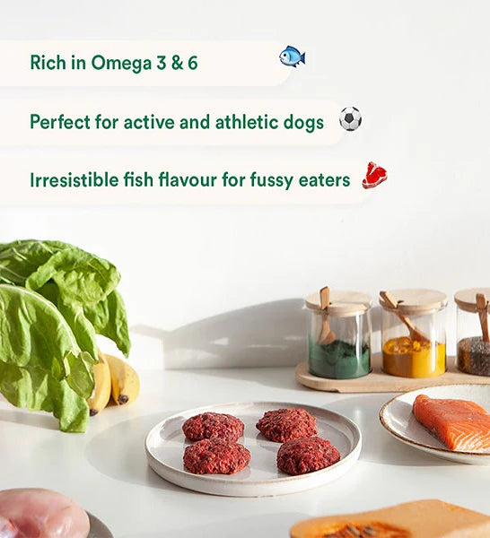 Wild Balance Complete BARF Menu Salmon Raw Food for Dogs 1KG