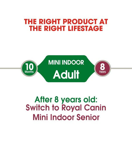 Royal Canin Mini Indoor Life Adult Dry Dog Food 1.5KG