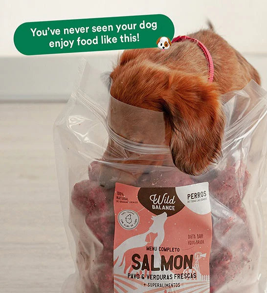 Wild Balance Complete BARF Menu Salmon Raw Food for Dogs 1KG